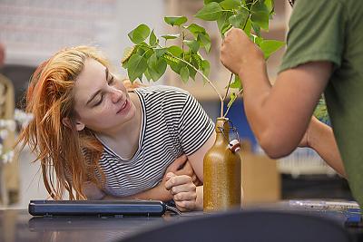 里程碑式的大学生在科学课上检查树枝.