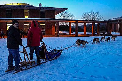 Sled dog team on the Quad at Landmark College